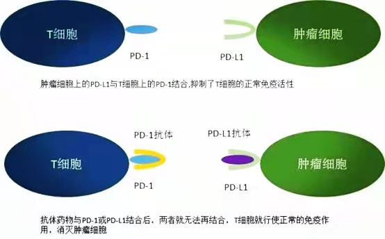 图片10.jpg