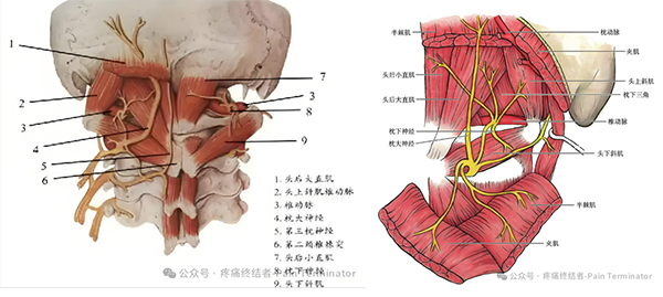 未标题-2.png