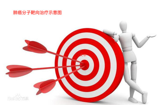 肺癌的分子靶向治疗