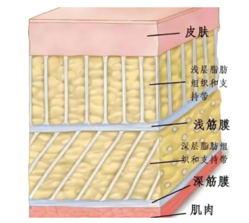 颈肩腰腿痛专科